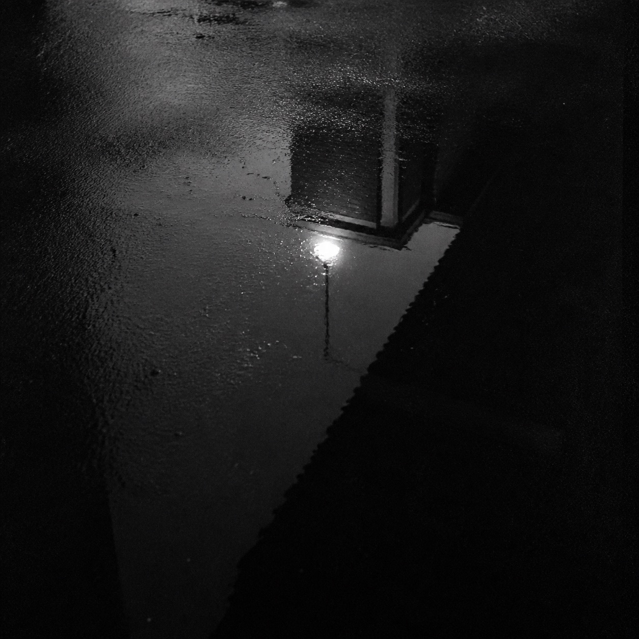 A streetlight reflected in wet pavement.